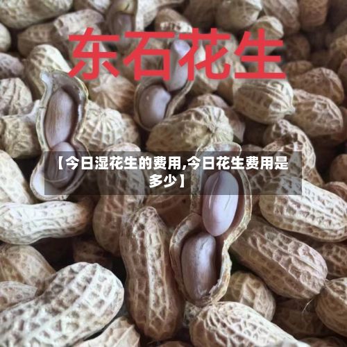 【今日湿花生的费用,今日花生费用是多少】-第3张图片