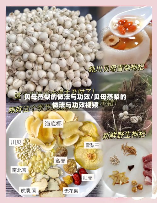 贝母蒸梨的做法与功效/贝母蒸梨的做法与功效视频