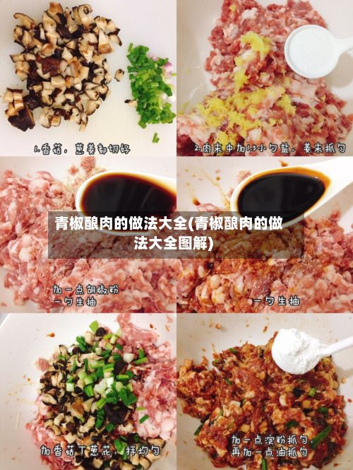 青椒酿肉的做法大全(青椒酿肉的做法大全图解)