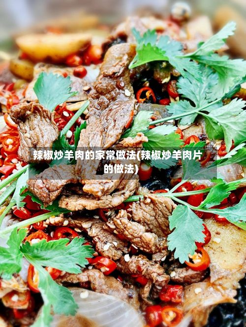 辣椒炒羊肉的家常做法(辣椒炒羊肉片的做法)-第3张图片