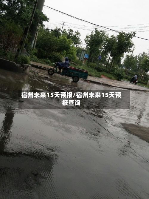 宿州未来15天预报/宿州未来15天预报查询