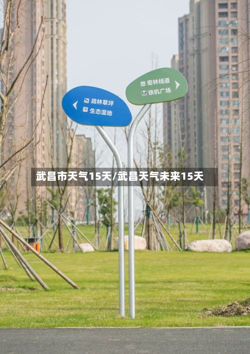 武昌市天气15天/武昌天气未来15天-第2张图片
