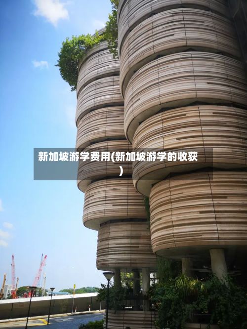 新加坡游学费用(新加坡游学的收获)