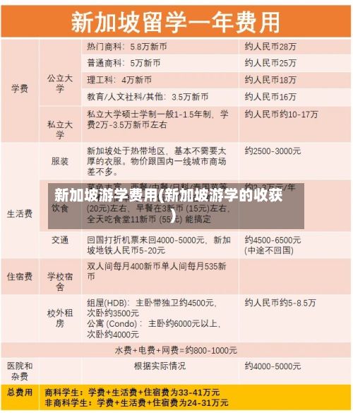 新加坡游学费用(新加坡游学的收获)-第2张图片