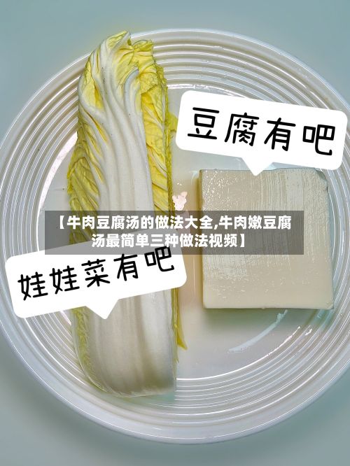 【牛肉豆腐汤的做法大全,牛肉嫩豆腐汤最简单三种做法视频】