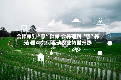 会种粮到“慧	”种粮 会养殖到“慧”养殖 看AI如何驱动农业转型升级-第2张图片