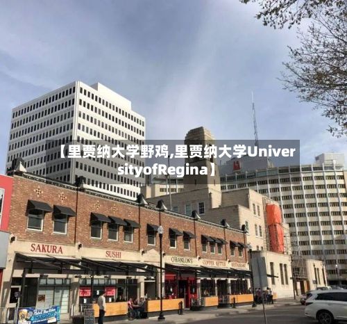 【里贾纳大学野鸡,里贾纳大学UniversityofRegina】-第2张图片