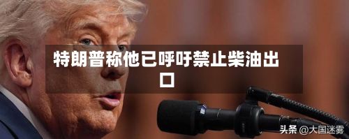特朗普称他已呼吁禁止柴油出口-第2张图片