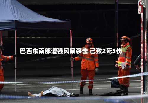 巴西东南部遭强风暴袭击 已致2死3伤