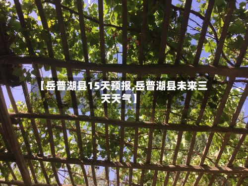 【岳普湖县15天预报,岳普湖县未来三天天气】