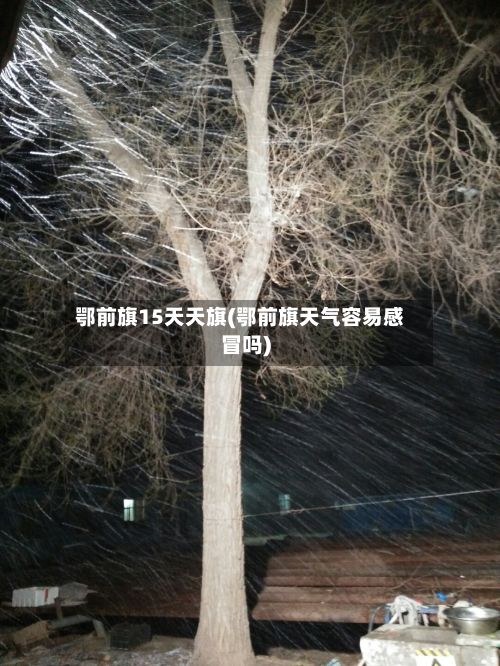 鄂前旗15天天旗(鄂前旗天气容易感冒吗)