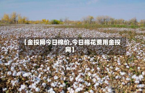 【金投网今日棉价,今日棉花费用金投网】-第3张图片
