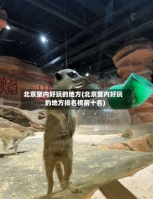 北京室内好玩的地方(北京室内好玩的地方排名榜前十名)