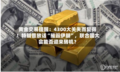 黄金交易提醒：4300大关失而复得！特朗普放话“摧毁伊朗”，联合国大会能否迎来转机？-第2张图片