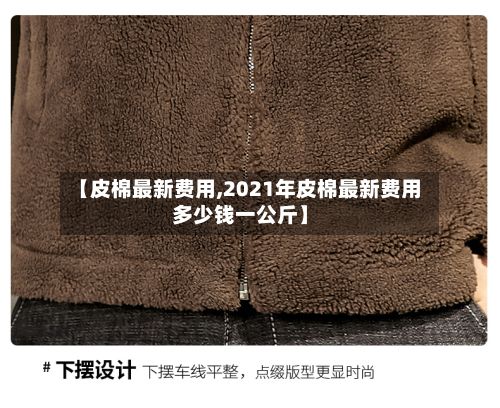 【皮棉最新费用,2021年皮棉最新费用多少钱一公斤】-第3张图片