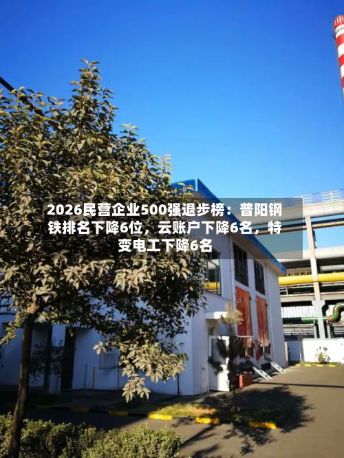 2026民营企业500强退步榜：普阳钢铁排名下降6位	，云账户下降6名，特变电工下降6名-第2张图片
