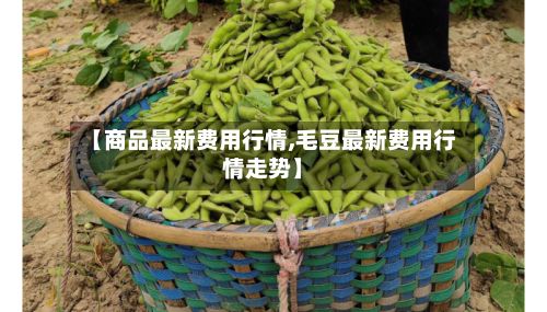 【商品最新费用行情,毛豆最新费用行情走势】-第3张图片