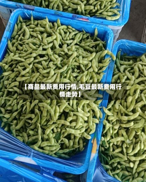 【商品最新费用行情,毛豆最新费用行情走势】