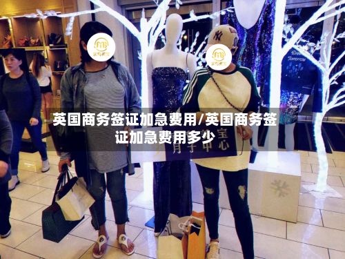 英国商务签证加急费用/英国商务签证加急费用多少