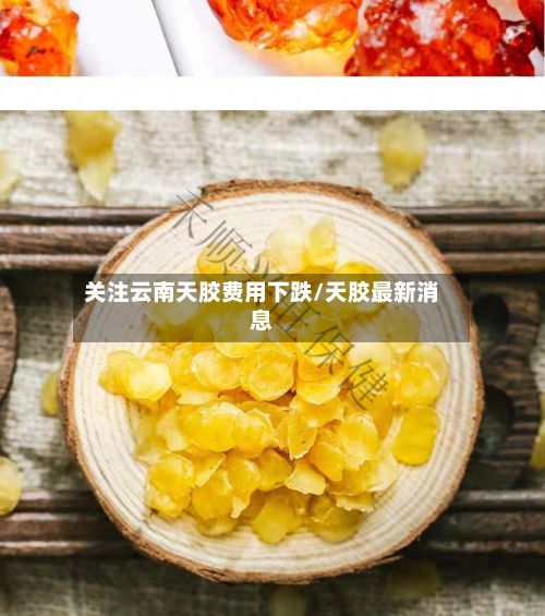 关注云南天胶费用下跌/天胶最新消息