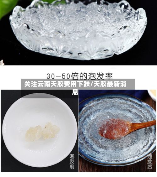 关注云南天胶费用下跌/天胶最新消息-第2张图片