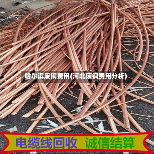 哈尔滨废铜费用(河北废铜费用分析)-第2张图片
