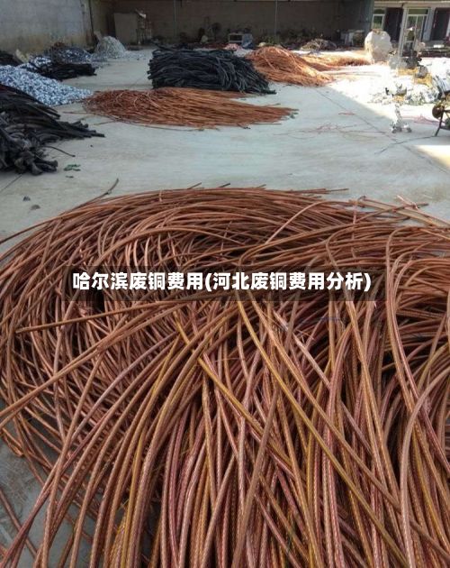 哈尔滨废铜费用(河北废铜费用分析)-第3张图片