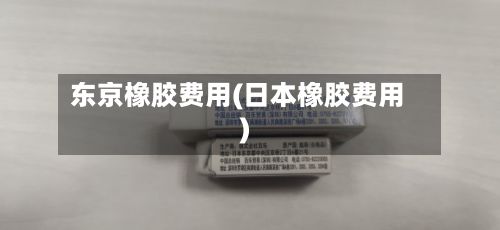 东京橡胶费用(日本橡胶费用)-第2张图片
