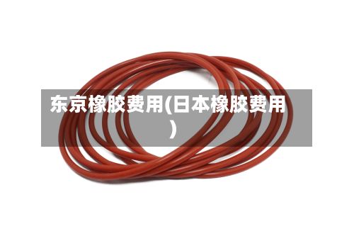 东京橡胶费用(日本橡胶费用)