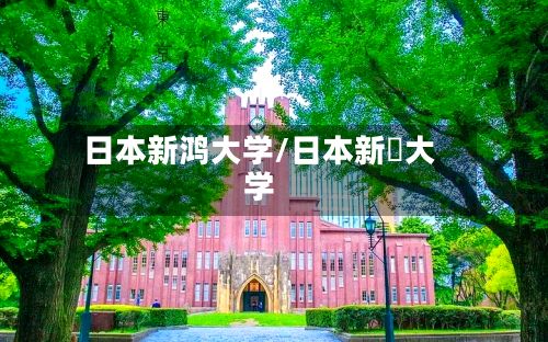 日本新鸿大学/日本新潟大学