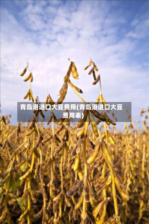青岛港进口大豆费用(青岛港进口大豆费用表)-第2张图片