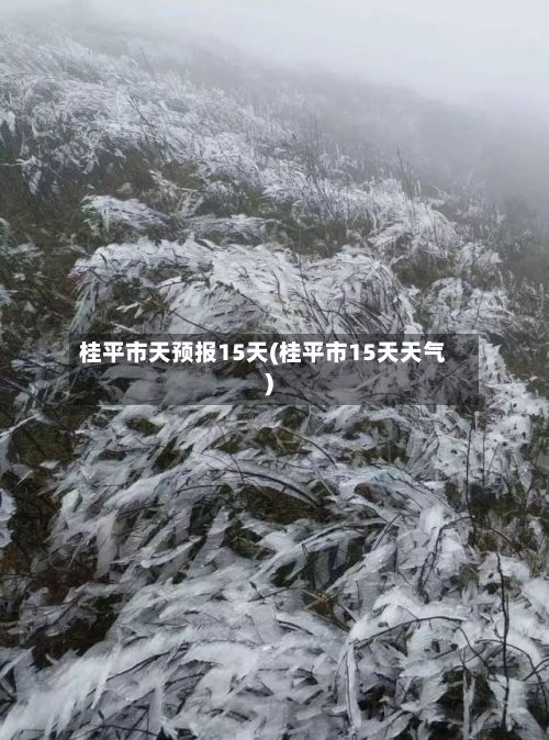 桂平市天预报15天(桂平市15天天气)