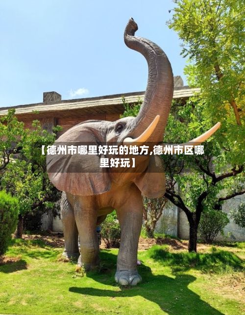 【德州市哪里好玩的地方,德州市区哪里好玩】