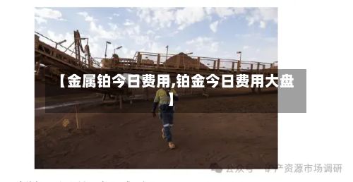 【金属铂今日费用,铂金今日费用大盘】