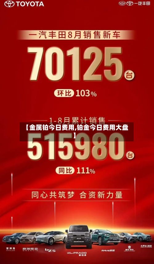 【金属铂今日费用,铂金今日费用大盘】-第2张图片