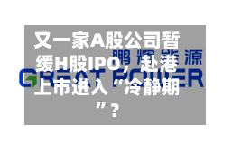 又一家A股公司暂缓H股IPO，赴港上市进入“冷静期”？-第3张图片