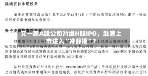 又一家A股公司暂缓H股IPO，赴港上市进入“冷静期”？