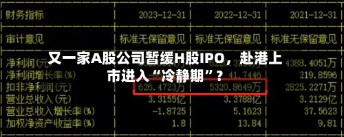 又一家A股公司暂缓H股IPO，赴港上市进入“冷静期	”？-第2张图片