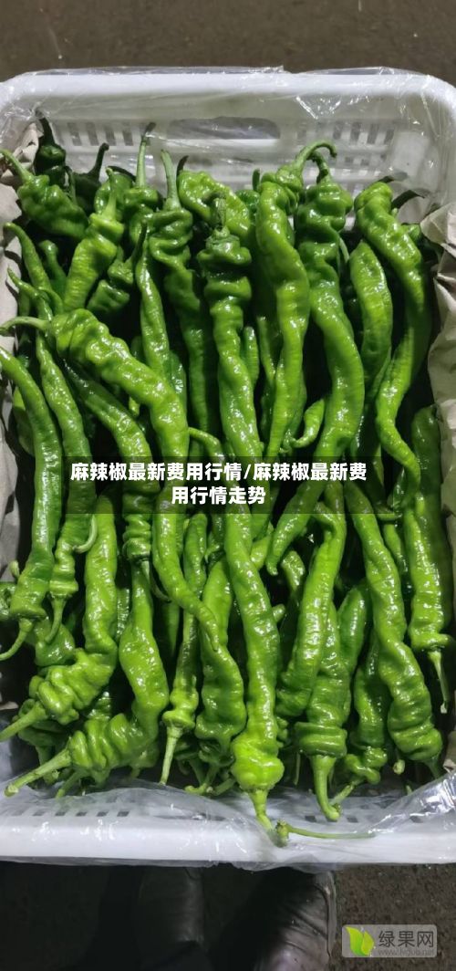 麻辣椒最新费用行情/麻辣椒最新费用行情走势