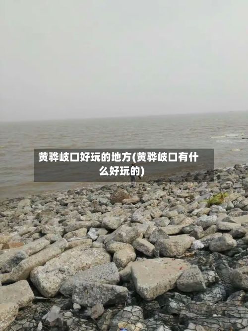 黄骅岐口好玩的地方(黄骅岐口有什么好玩的)