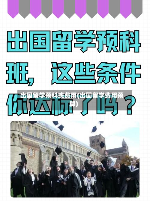 出国留学预科班费用(出国留学费用预算)