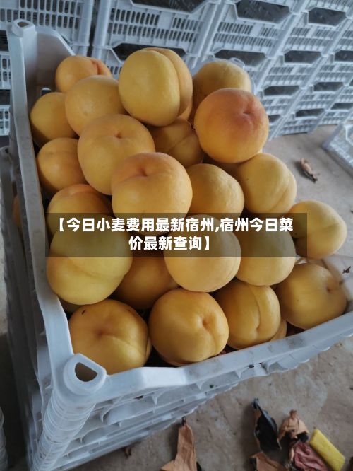 【今日小麦费用最新宿州,宿州今日菜价最新查询】-第3张图片