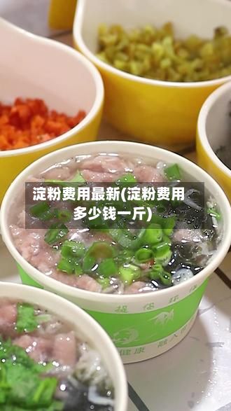 淀粉费用最新(淀粉费用多少钱一斤)-第2张图片