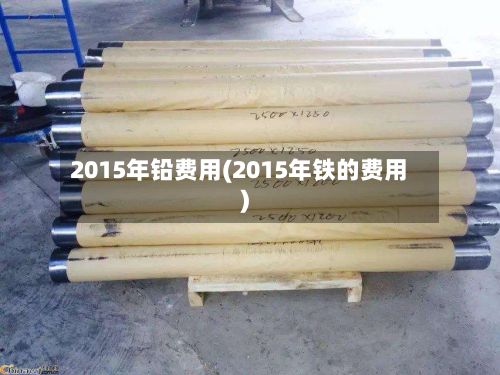 2015年铅费用(2015年铁的费用)-第2张图片