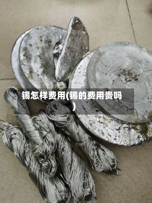 锡怎样费用(锡的费用贵吗)-第2张图片