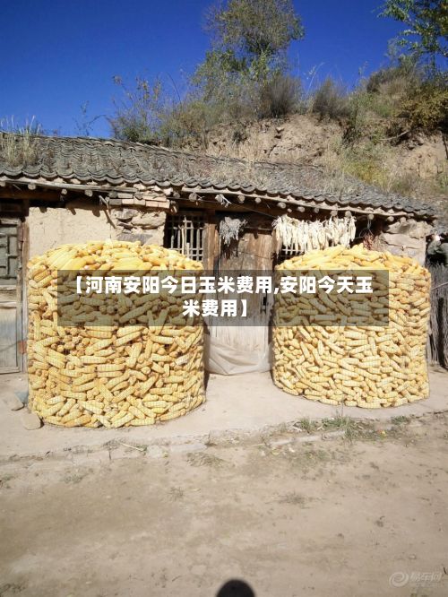 【河南安阳今日玉米费用,安阳今天玉米费用】