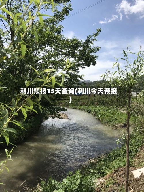 利川预报15天查询(利川今天预报)-第3张图片