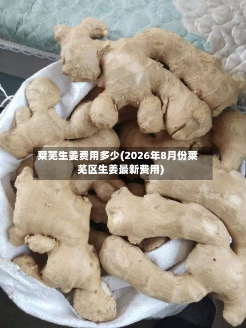 莱芜生姜费用多少(2026年8月份莱芜区生姜最新费用)-第2张图片