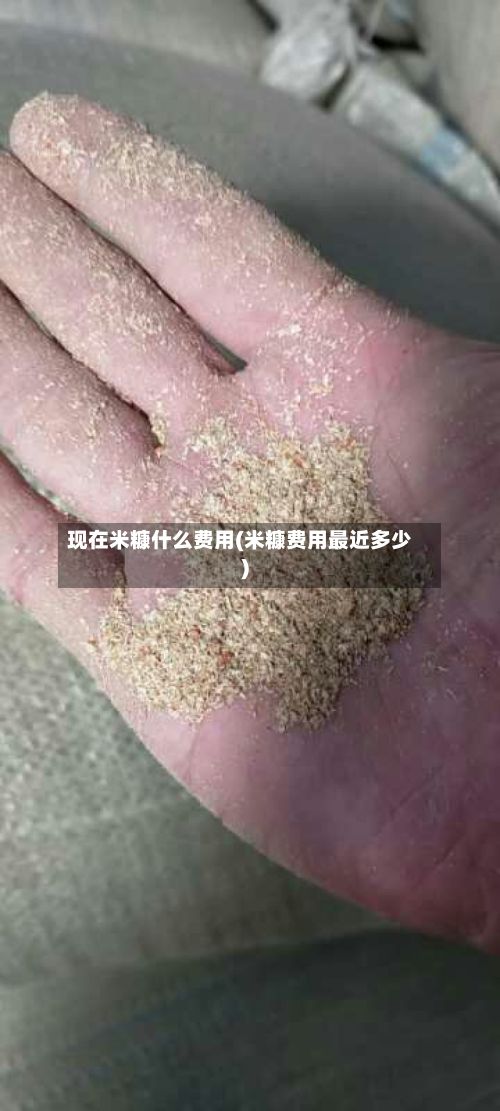 现在米糠什么费用(米糠费用最近多少)