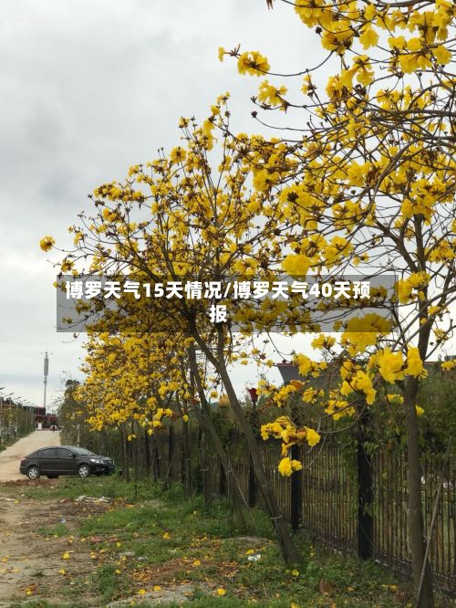 博罗天气15天情况/博罗天气40天预报-第2张图片